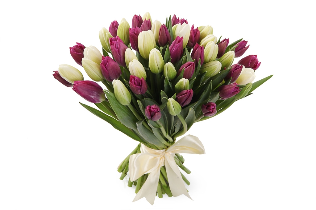 Букет 51 королевский тюльпан, бело-пурпурный микс купить в Москве - Floral-Tale