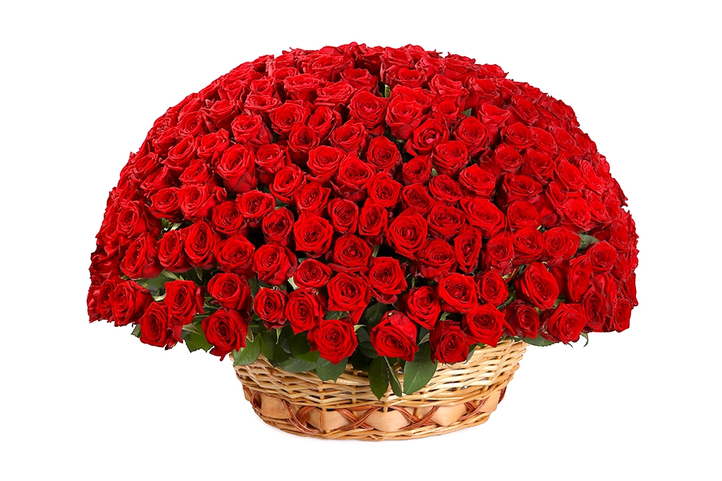 Купить букет 251 красная роза в корзине в Москве. Floral-tale
