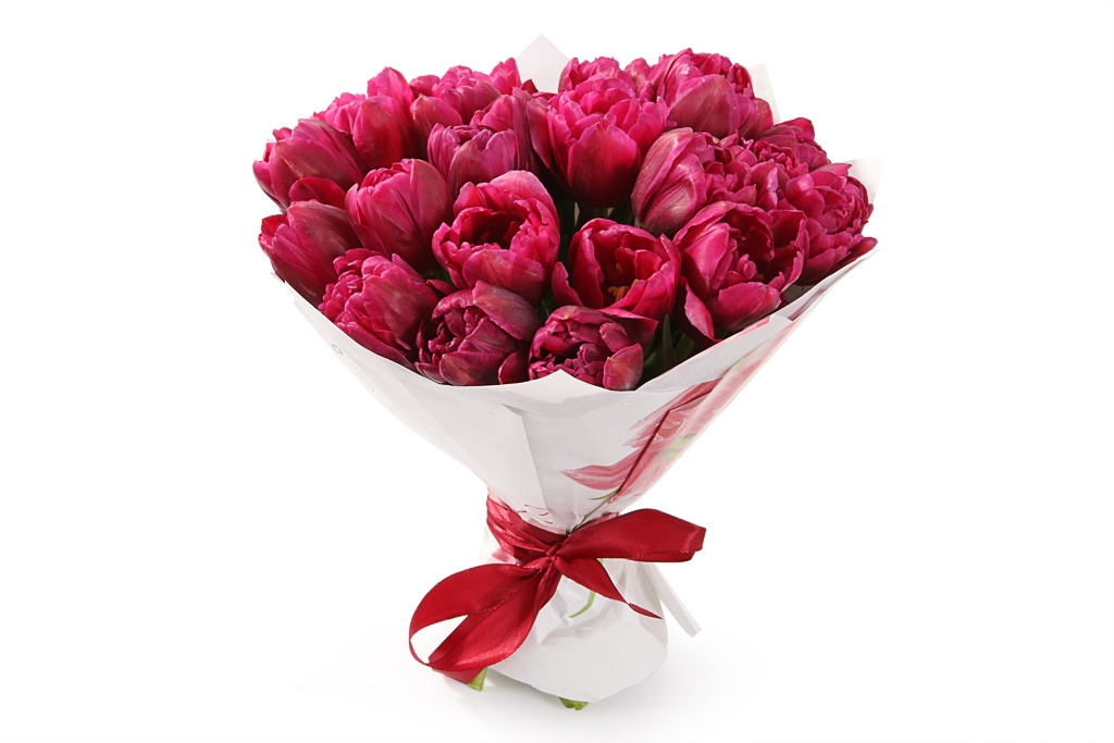 Букет 25 королевских тюльпанов, малиновые купить в Москве - floral-tale.ru
