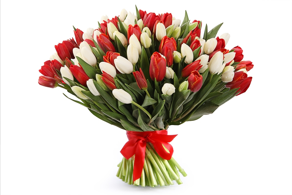 Букет 101 тюльпан, красно-белый микс купить в Москве - Floral-Tale