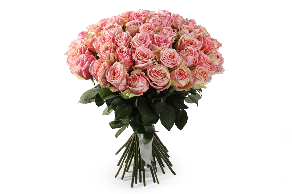 Букет 51 роза Фиеста - купить в Москве: цены, круглосуточная доставка - Цветочная сказка