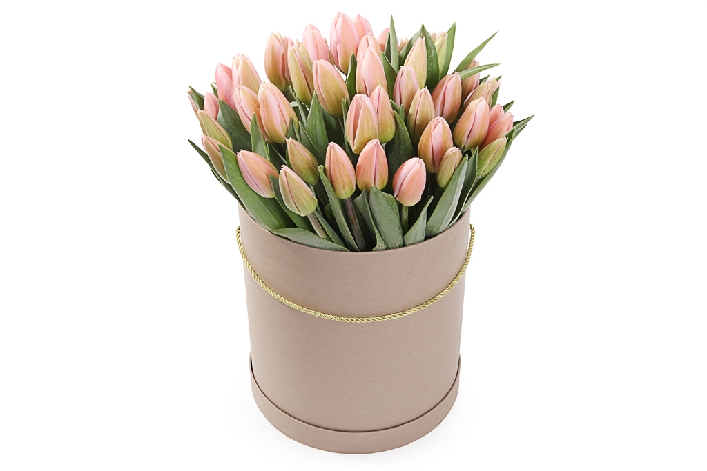 Букет 51 тюльпан в коричневой коробке, жемчужные купить в Москве - Floral-Tale