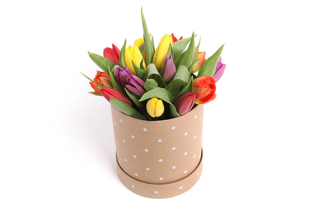 Букет 15 тюльпанов микс в шляпной коробке (горошек) купить в Москве - floral-tale.ru