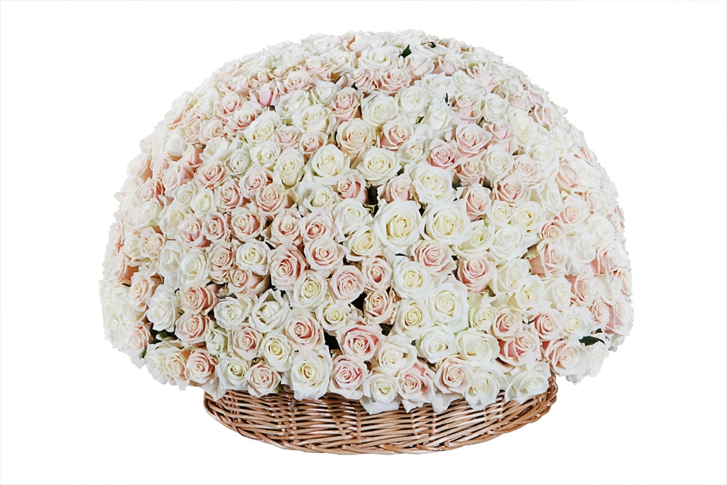 Купить букет 501 роза в корзине, белый микс в Москве. Floral-tale
