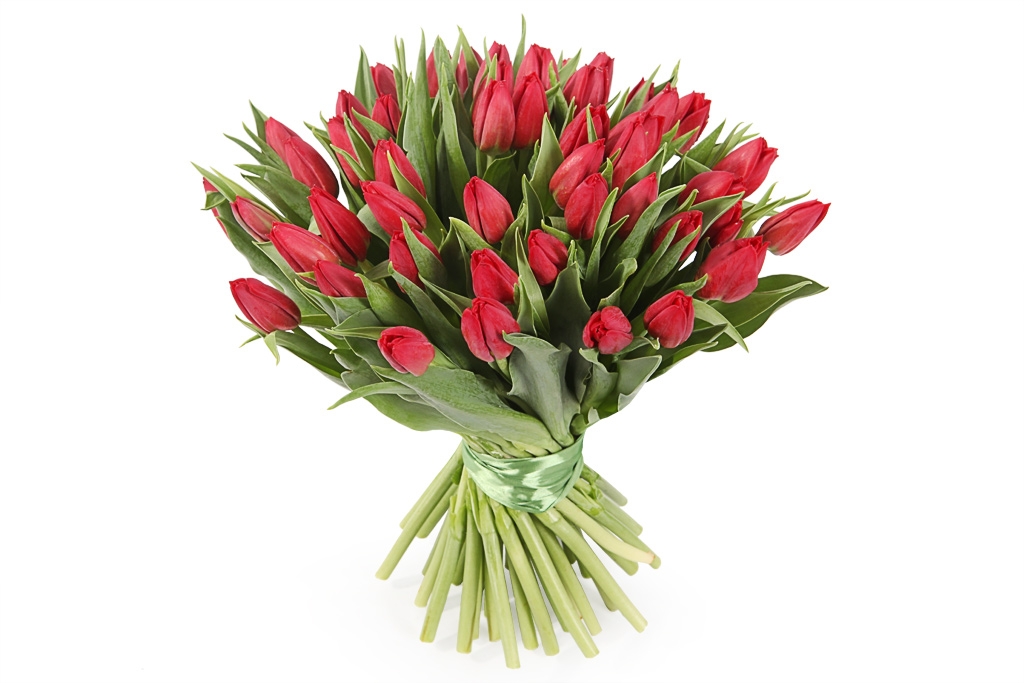 Букет 51 тюльпан, красные купить в Москве с доставкой. Цветочная сказка