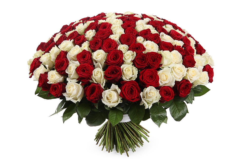 Купить букет 201 роза красно-белый микс в Москве. Сайт floral-tale