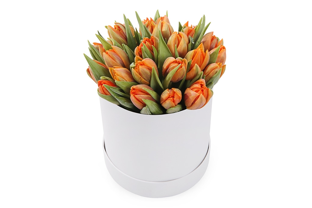 Букет 25 тюльпанов в белой коробке, оранжевые купить в Москве - Floral-Tale.ru