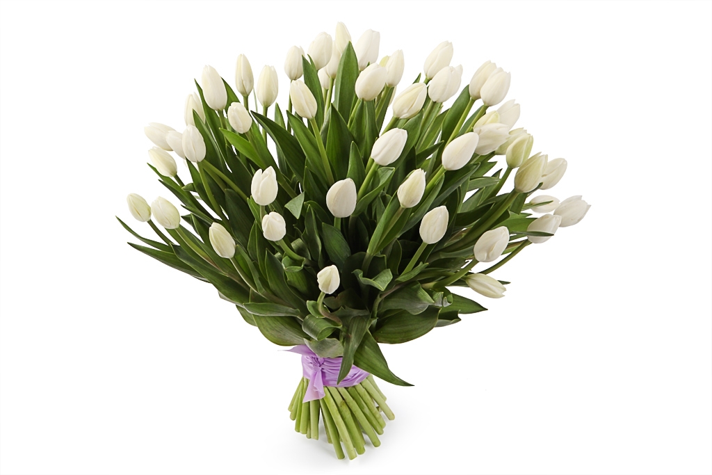 Букет 51 королевский тюльпан, белые купить в Москве - Floral-Tale