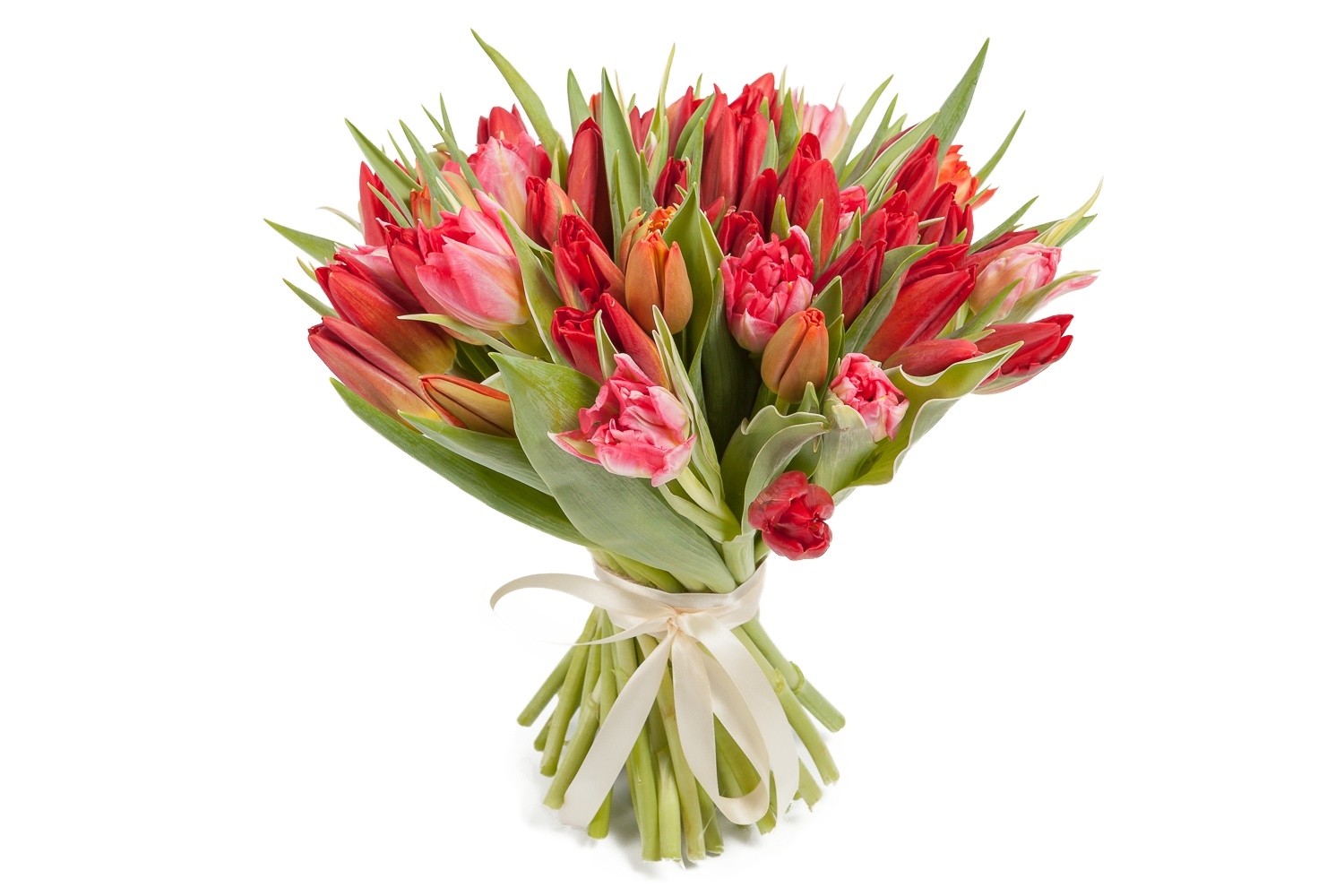 Букет 51 тюльпан, красно-розовые купить в Москве - Floral-Tale.ru
