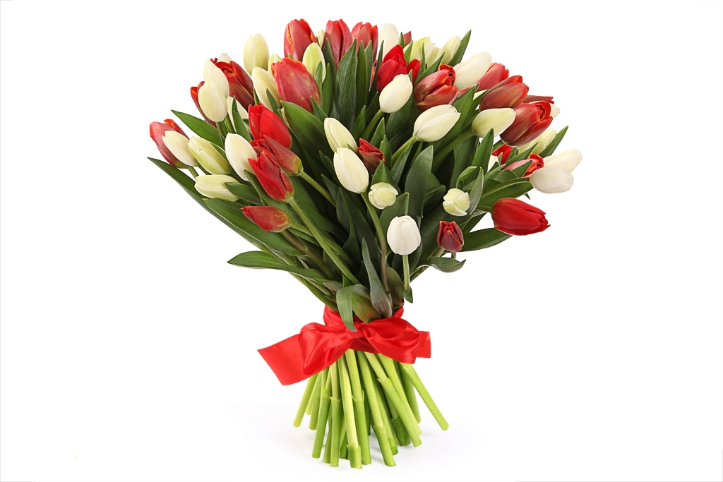 Букет 51 тюльпан, красно-белый микс купить в Москве - Floral-Tale