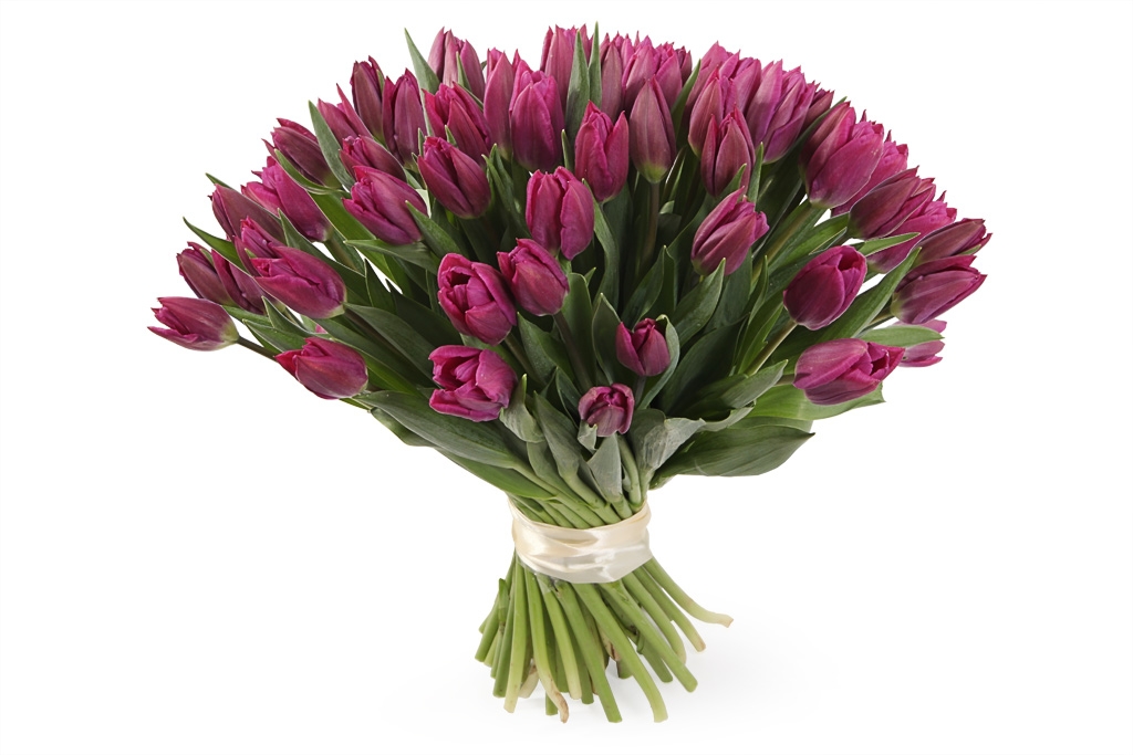 Букет 51 королевский тюльпан, пурпурные купить в Москве - Floral-Tale