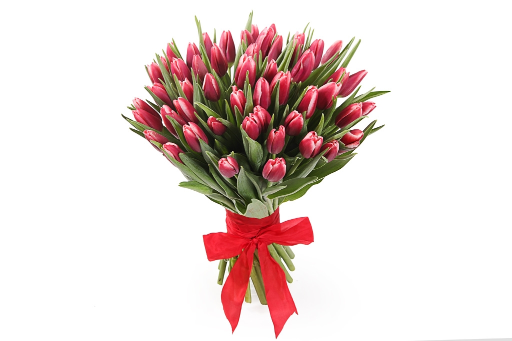 Букет 51 королевский тюльпан, алые купить в Москве - Floral-Tale