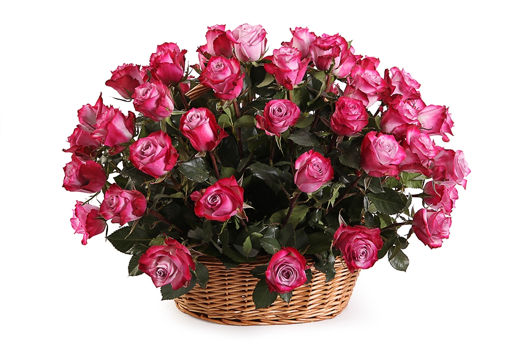 Букет 51 роза Дип Перпл в корзине - купить в Москве: цены, круглосуточная доставка - Цветочная сказка