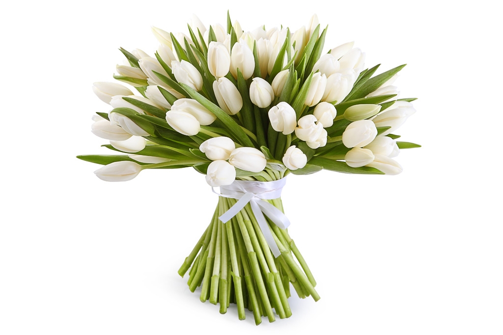 Букет 101 тюльпан, белые купить в Москве - Floral-Tale