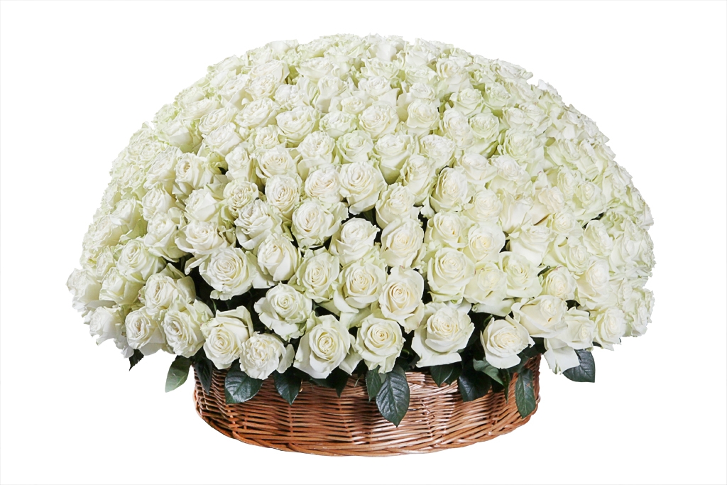 Букет 301 роза Мондиаль в корзине купить в Москве. Сайт floral-tale