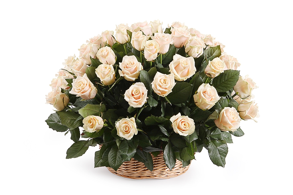 Букет 51 роза Талея в корзине - купить в Москве: цены, круглосуточная доставка - Цветочная сказка