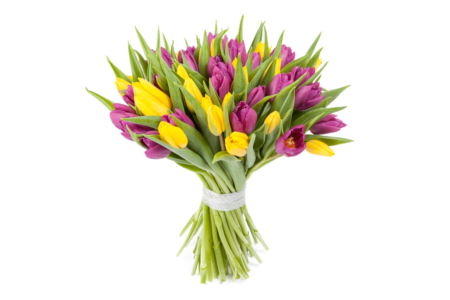 Букет 51 тюльпан, желто-фиолетовые купить в Москве - Floral-Tale