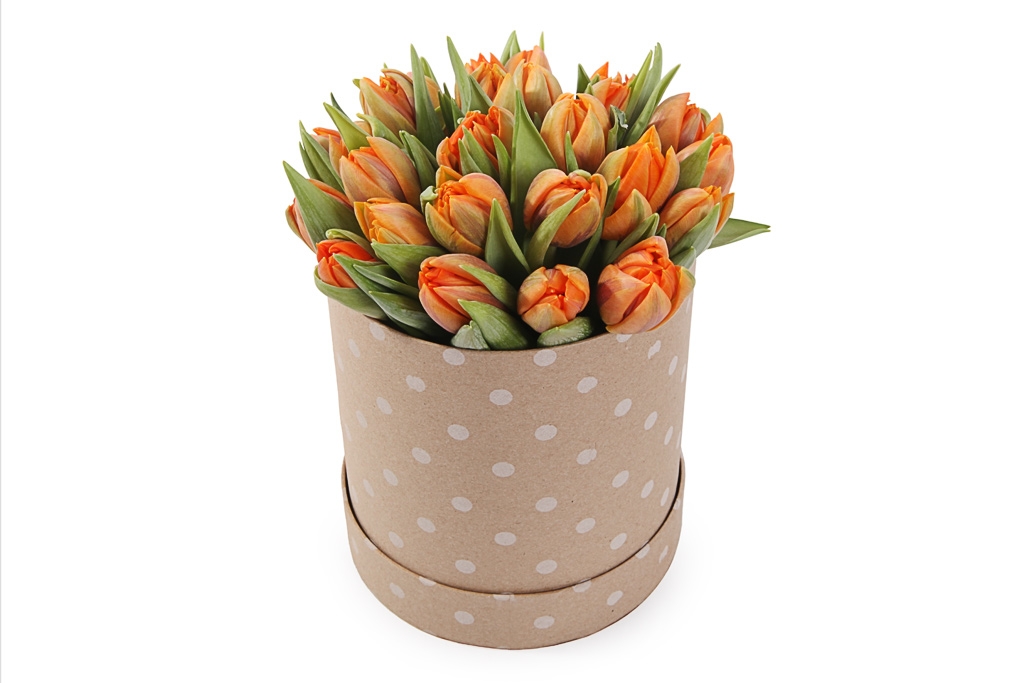 Букет 25 тюльпанов в коробке, оранжевые купить в Москве - Floral-Tale.ru