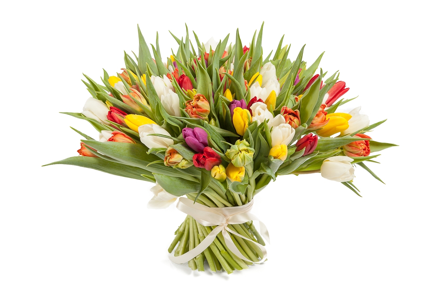 Букет 101 тюльпан микс купить в Москве - Floral-Tale