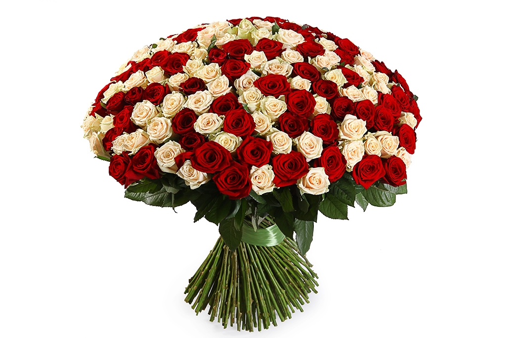Купить 201 роза микс в Москве. Сайт floral-tale