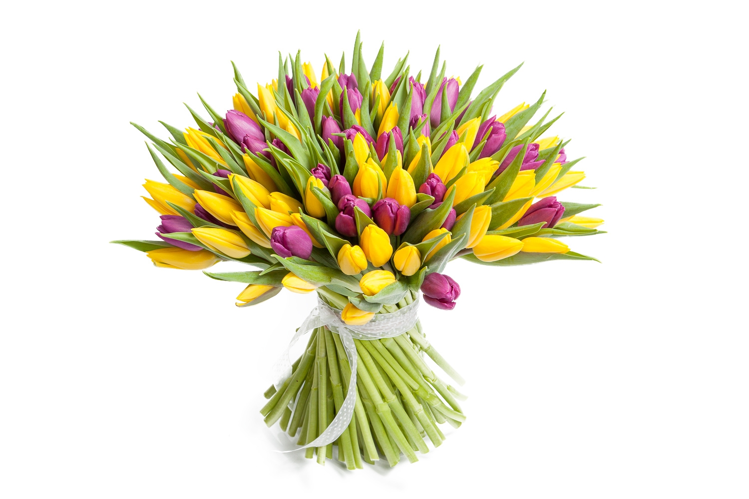 Букет 101 тюльпан, желто-фиолетовые купить в Москве - Floral-Tale