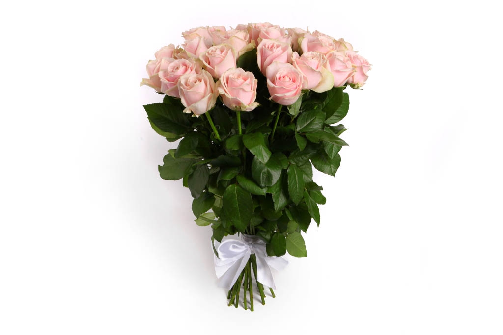 Букет 25 роз Аваланш Свит - купить в Москве: цены, круглосуточная доставка - Цветочная сказка