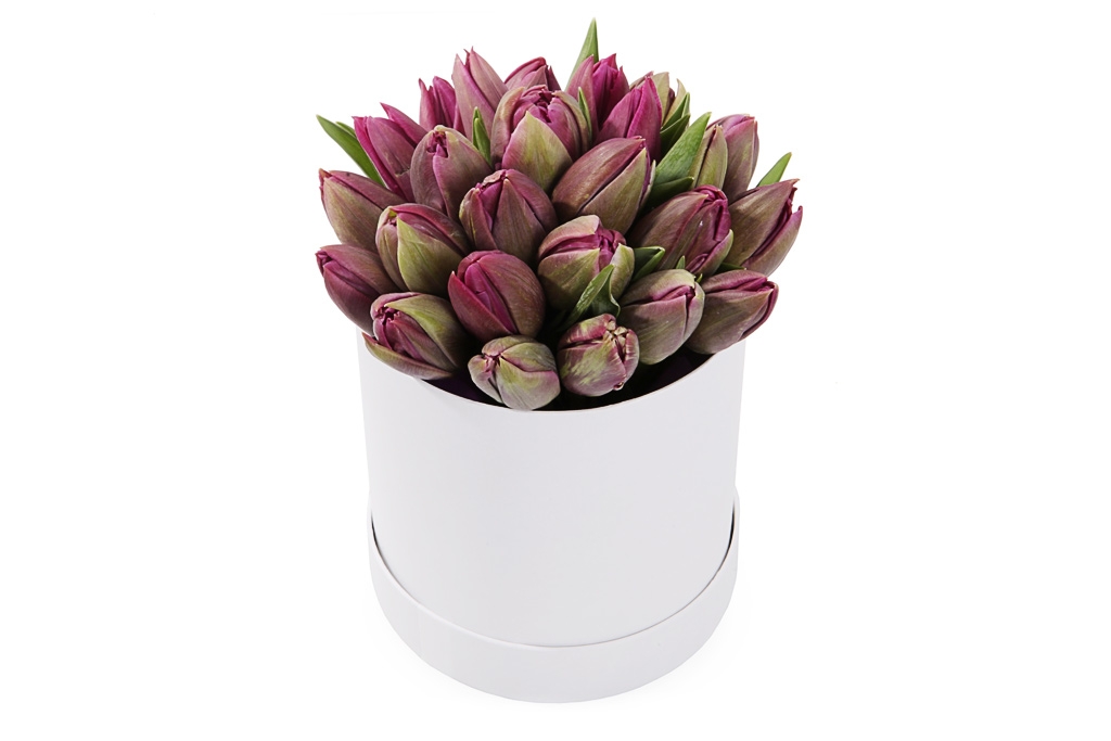 Букет 25 королевских тюльпанов в коробке, пурпурные купить в Москве - Floral-Tale.ru