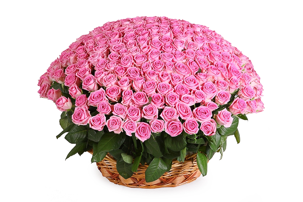 Купить букет 251 роза Аква в корзине в Москве. Floral-tale