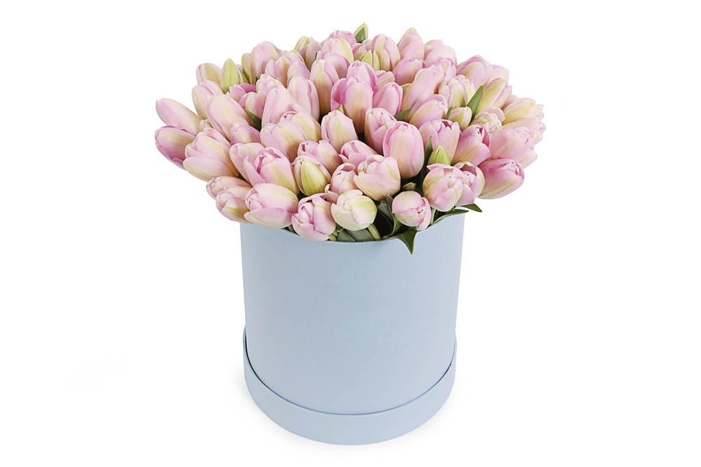 Букет 101 королевский тюльпан в коробке, жемчужные купить в Москве - Floral-Tale