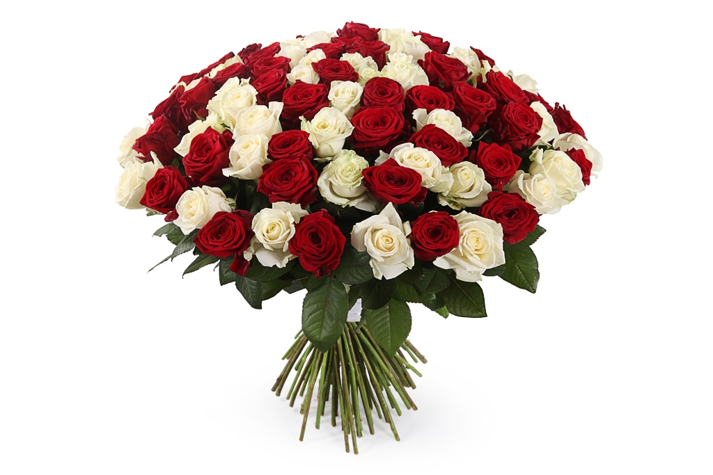 Букет 101 роза красно-белый микс - купить в Москве: цены, круглосуточная доставка - Цветочная сказка