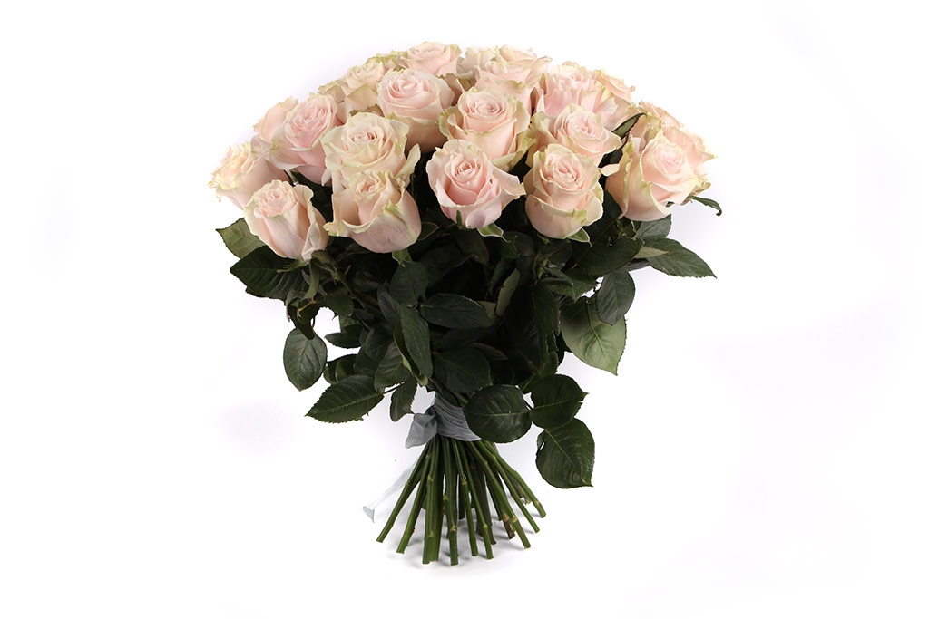 Букет 35 роз Пинк Мондиаль - купить в Москве: цены, круглосуточная доставка - Цветочная сказка