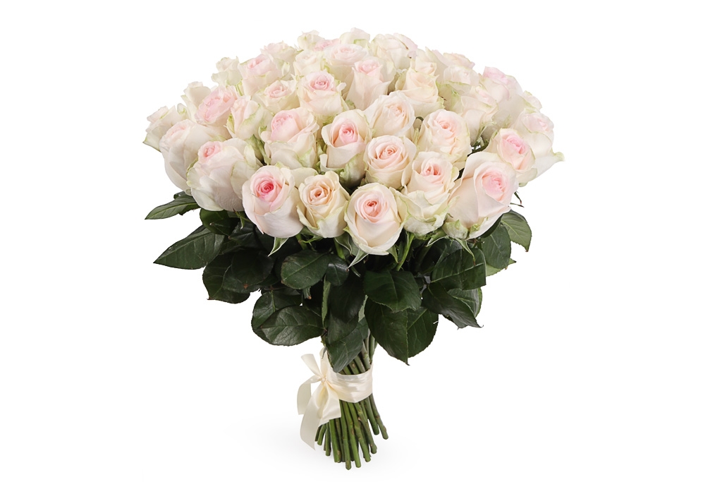 Букет 41 роза Сеньорита - купить в Москве: цены, круглосуточная доставка - Цветочная сказка