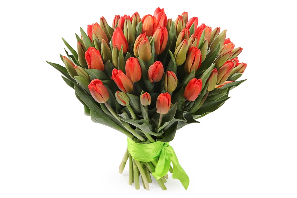 Букет 51 королевский тюльпан, красно-оранжевые купить в Москве - Floral-Tale