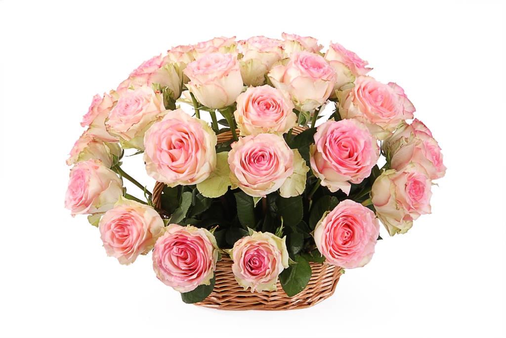 Букет 35 роз Эсперанс в корзине купить за 7 190 руб. с доставкой по Москве в интернет-магазине «Цветочная сказка»