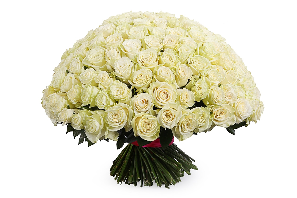 Купить 201 роза Мондиаль в Москве. Сайт floral-tale