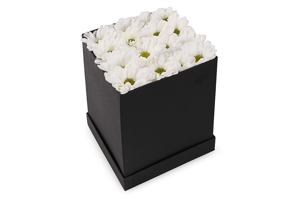 Букет хризантем Черное и белое в коробке купить в Москве. Магазин floral-tale.ru