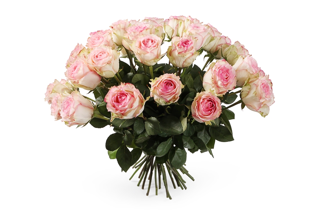 Букет 35 роз Эсперанс - купить в Москве: цены, круглосуточная доставка - Цветочная сказка
