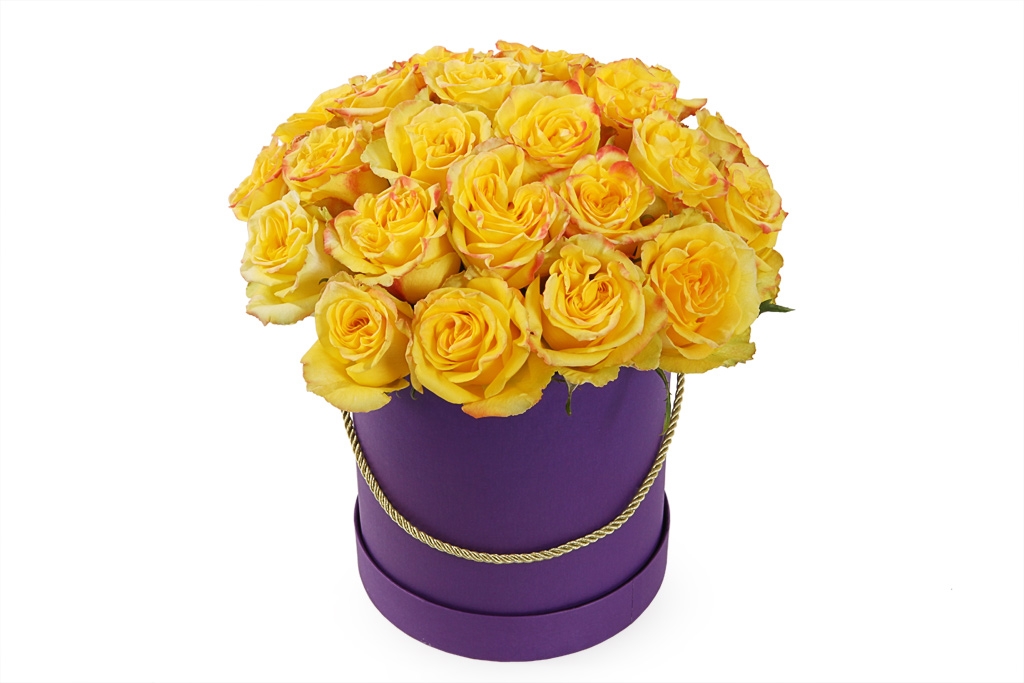 Букет 25 роз Хай Еллоу в шляпной коробке - купить в Москве: цены, круглосуточная доставка - Цветочная сказка