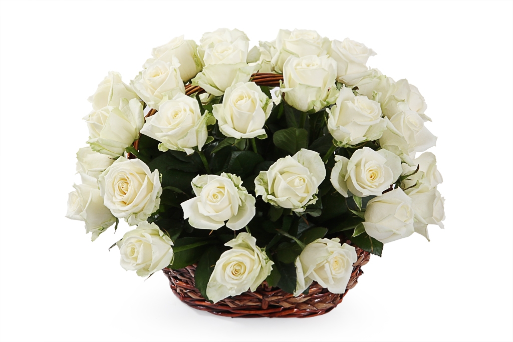 Букет 35 роз Аваланш в корзине - купить в Москве: цены, круглосуточная доставка - Цветочная сказка