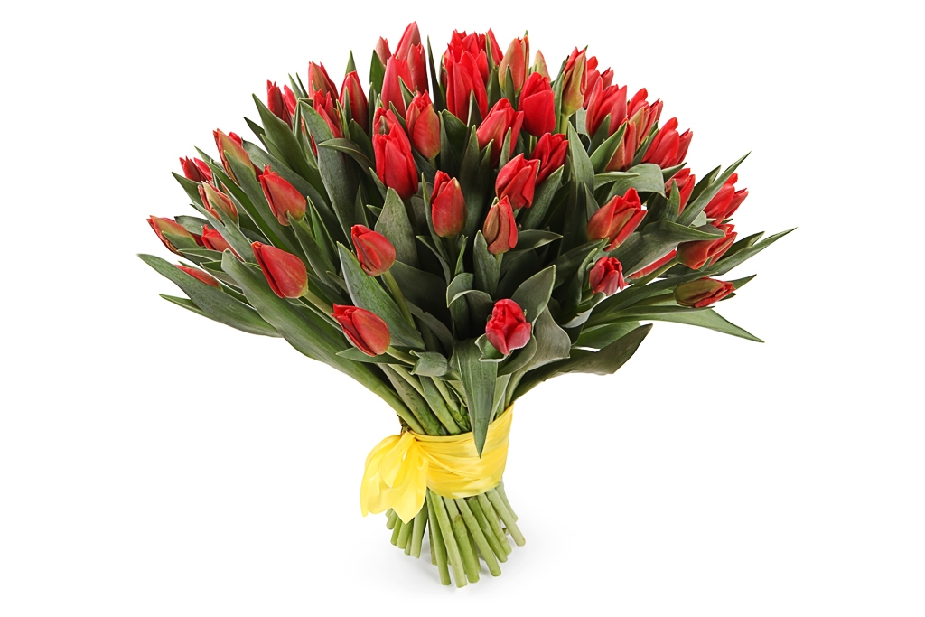 Букет 51 королевский тюльпан, красные купить в Москве - Floral-Tale