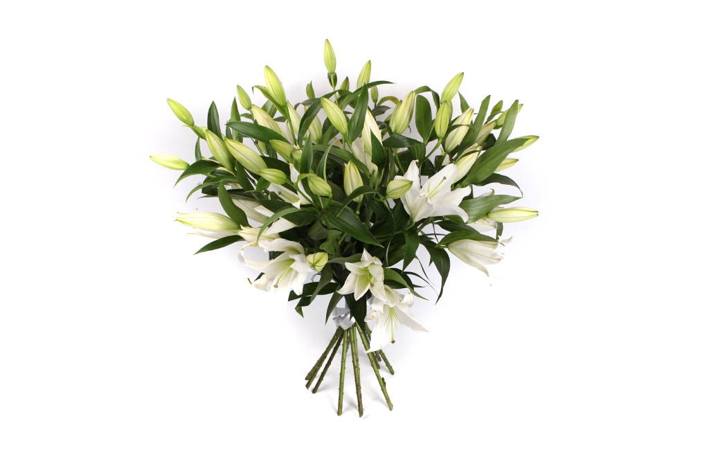 Букет 11 лилий Белая красавица купить в Москве недорого. Floral-Tale