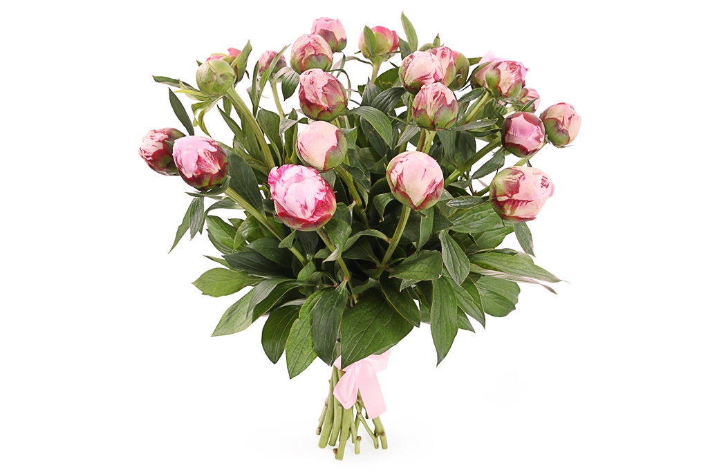 Букет из пионов Дамское счастье купить в Москве - FloralTale