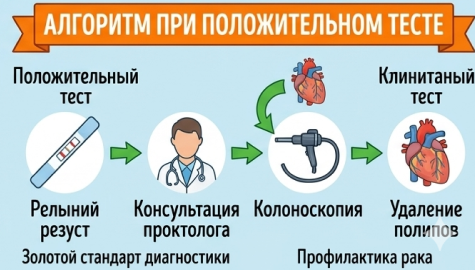 Слизистая норма
