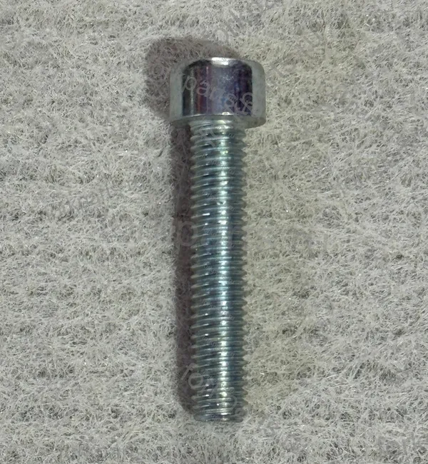 Болт M10x20
