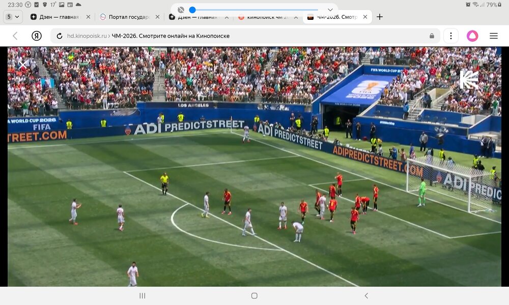 Screenshot_20260621-233018_Yandex Browser.jpg