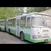 студент19