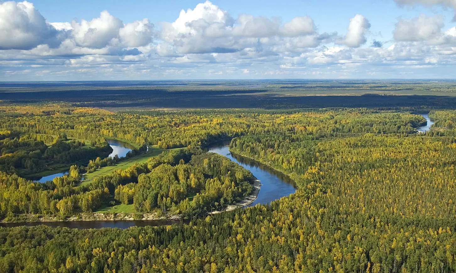 Плоская лесная и болотная местность Васюганья с извилистой рекой