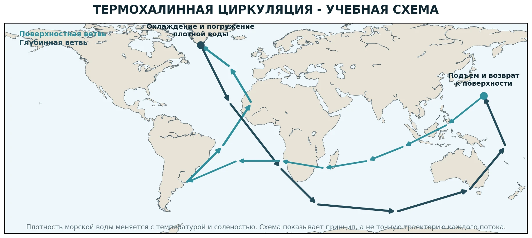 Учебная схема термохалинной циркуляции Мирового океана на русском языке
