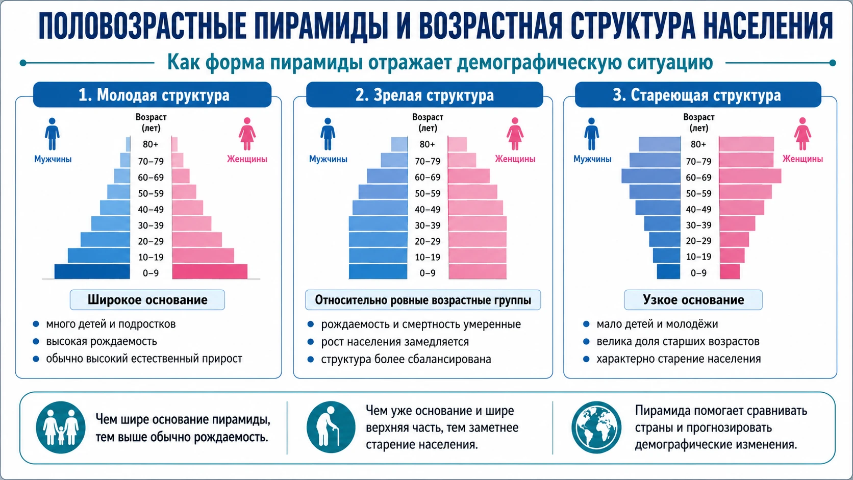 Учебная схема молодой и стареющей возрастной структуры населения