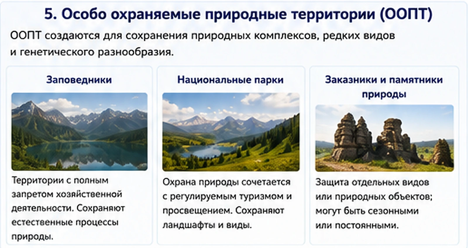 Учебная панель с основными типами особо охраняемых природных территорий